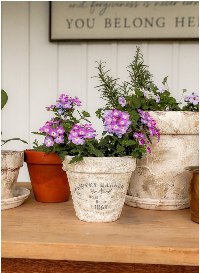 A collection of three diy clay pots redone in a vintage style with whit chalk paint and french labels.