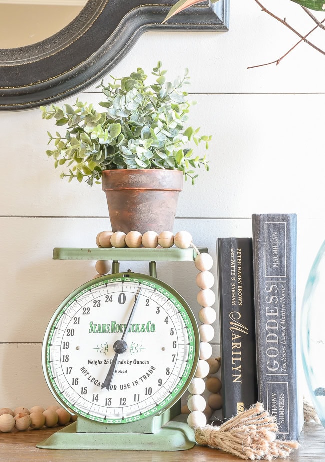 Aged terra cotta pot with green plant styled on a soft sage green scale with vintage books and farmhouse beads