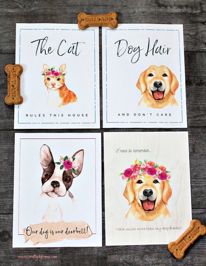 Four different fun pet printables with dogs, cat and flowers, Each printable has a fun saying like Our dog is our doorbell