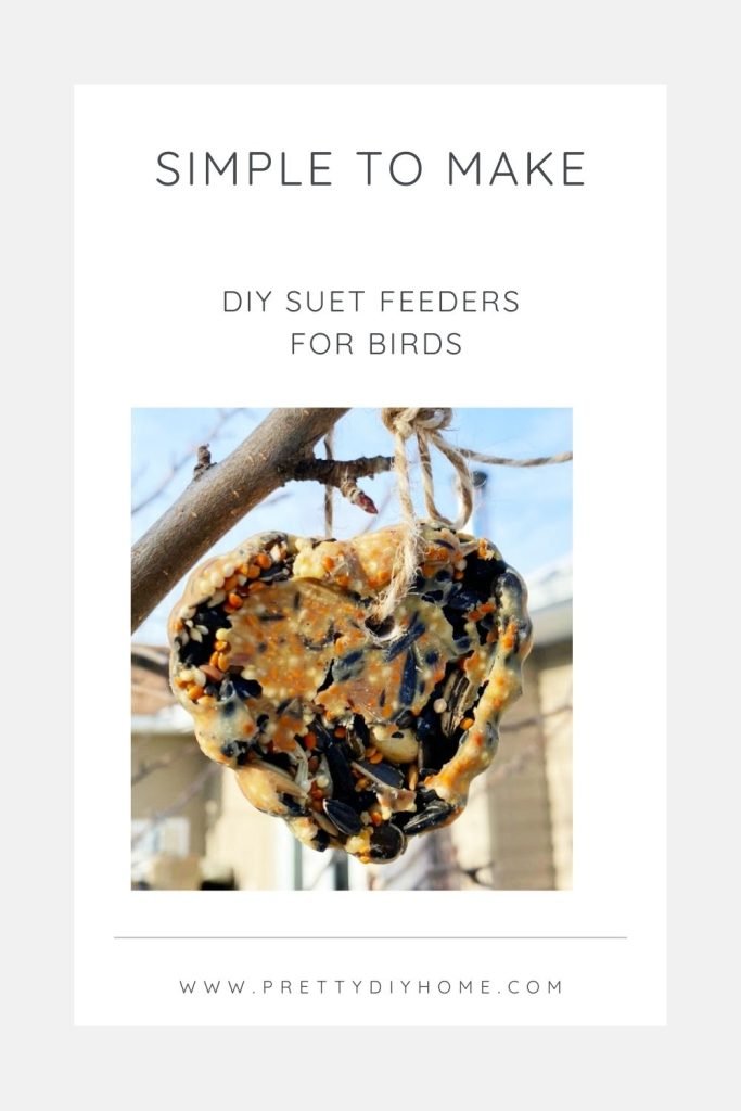 A close up of a simple to make DIY suet feeder for birds hanging on a tree.  The bird suet hanger is heart shaped and tied to a tree branch with bakers twine.