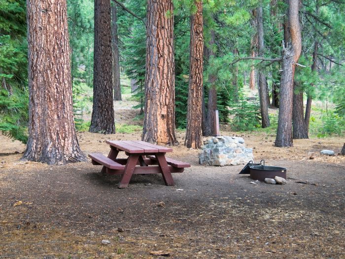 A clear and quiet campsite with large trees and picnic tables.