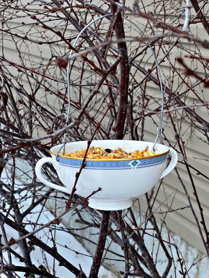 A suet filled and seed covered diy bird feeder