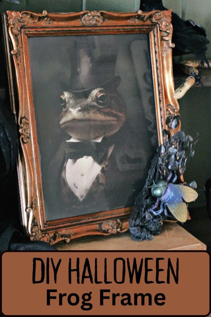 An thrifted copper colored ornate frame decorated for Halloween with a frog in a tophat picture, and creepy cloth with a giant fly sitting in the corner. A creepy Halloween decor idea.