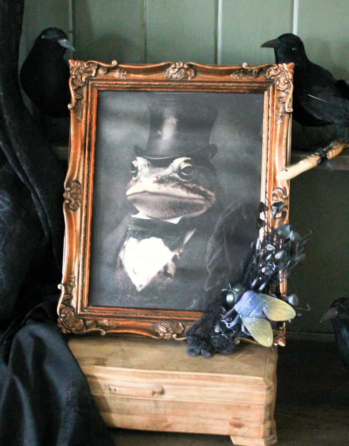 A DIY Halloween decoration made using a copper colored elaborate upcycled frame, a frog canvas and a dollar store plastic fly and creepy cloth.  A fun DIY decoration for Halloween.