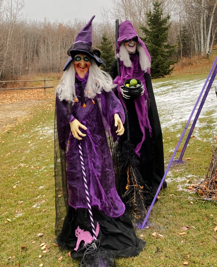 Two Halloween witch props standing in a front yard.  They are both large, with beautiful outfits and accessories from their makeover.