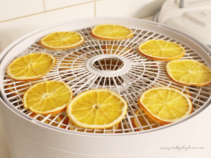 Checking orange slices midway through dehydrating to see if they are starting to feel leathery and dry.
