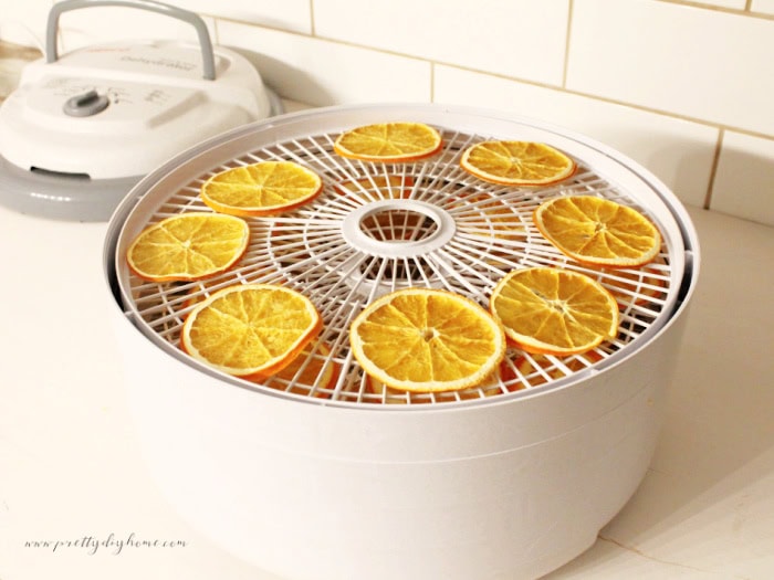 Dried orange slices in the dehydrator after nine hours, evenly colored and ready to cool.
