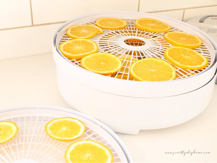 Bright orange slices arranged in a single layer on dehydrator trays with the lid open.