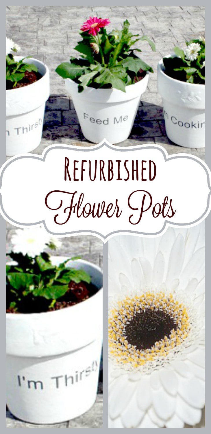 Flower Pot, DIY Home Decor