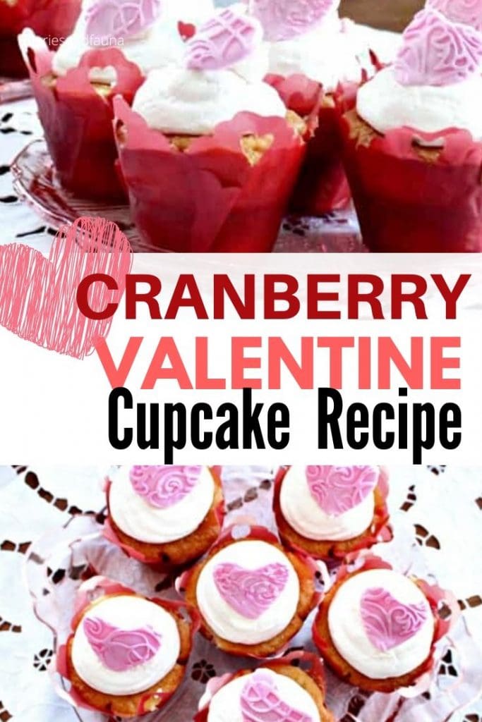 Easy vanilla cupcakes filled with cranberries and gran marnier. A special boozy Valentines dessert.