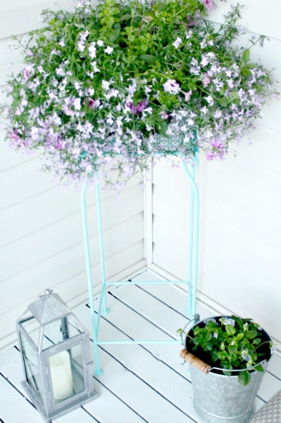 Hanging basket in the front yard of a small yard garden tour.