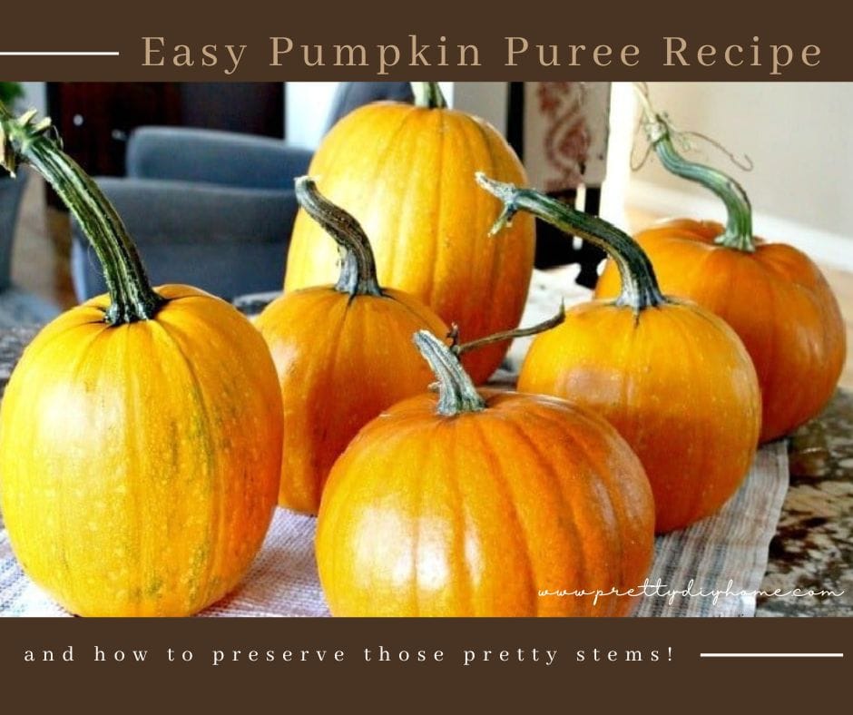 How To Preserve Pumpkins And Pumpkin Stems