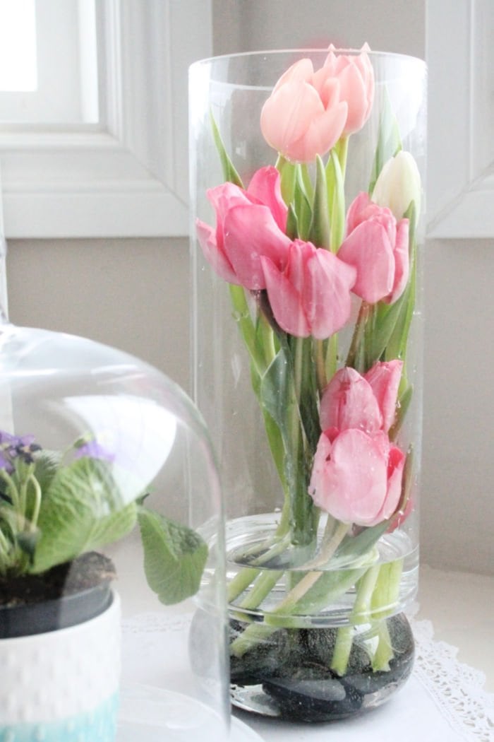 How to Make Tulips Last Longer