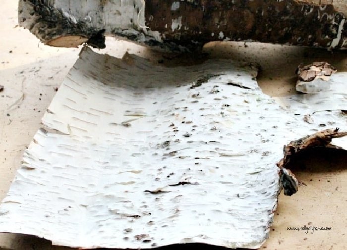  Natural White Birch Bark 10 Sheets 8 x 8 - DIY Crafts Made  Easy with Natural White Birch Bark