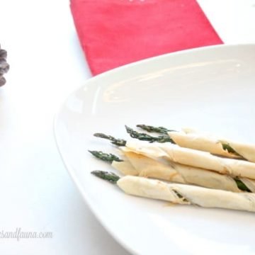 Lemon Parmesan Appetizer Recipe for Christmas a delicious party food.