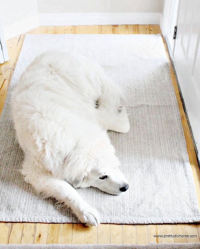 A large white great pyrenees dog laying on a large non slip mat to prevent slipping at the front door.
