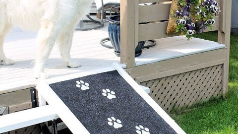 A DIY dog ramp with printed paw prints for outdoors.