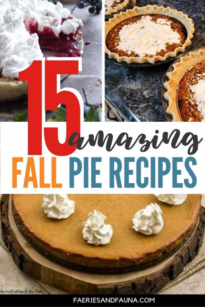 Pie recipes for fall desserts including pecan pie, berry pies, no bake pies, pistachio pie, flapper pie, peanut btittle pie