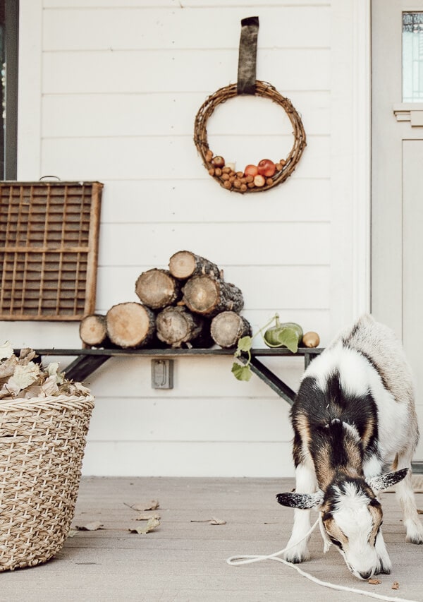 A fall porch with wood logs, a simple wreath, a black bench, and a gorgeous basket of Fall leaves