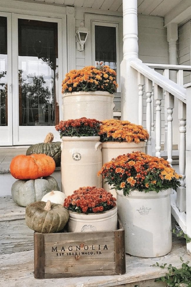 A fall front porch decorated in traditional autumn rusts colours. Loads of Mums sitting in gorgeous vintage crockery are lined up on against white pickets. and intermingled with dark green and orange pumpkins.