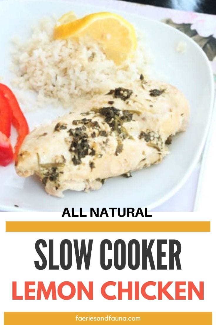 Slow cooker lemon chicken with parsley, and cauliflower rice.