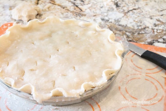 Unbaked pie crust ready for the oven