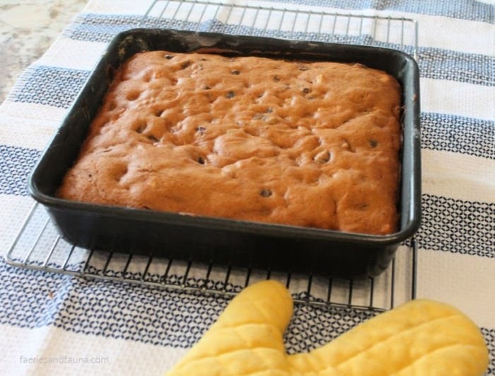 A from scratch classic tomato soup cake warm from the oven without icing yet.