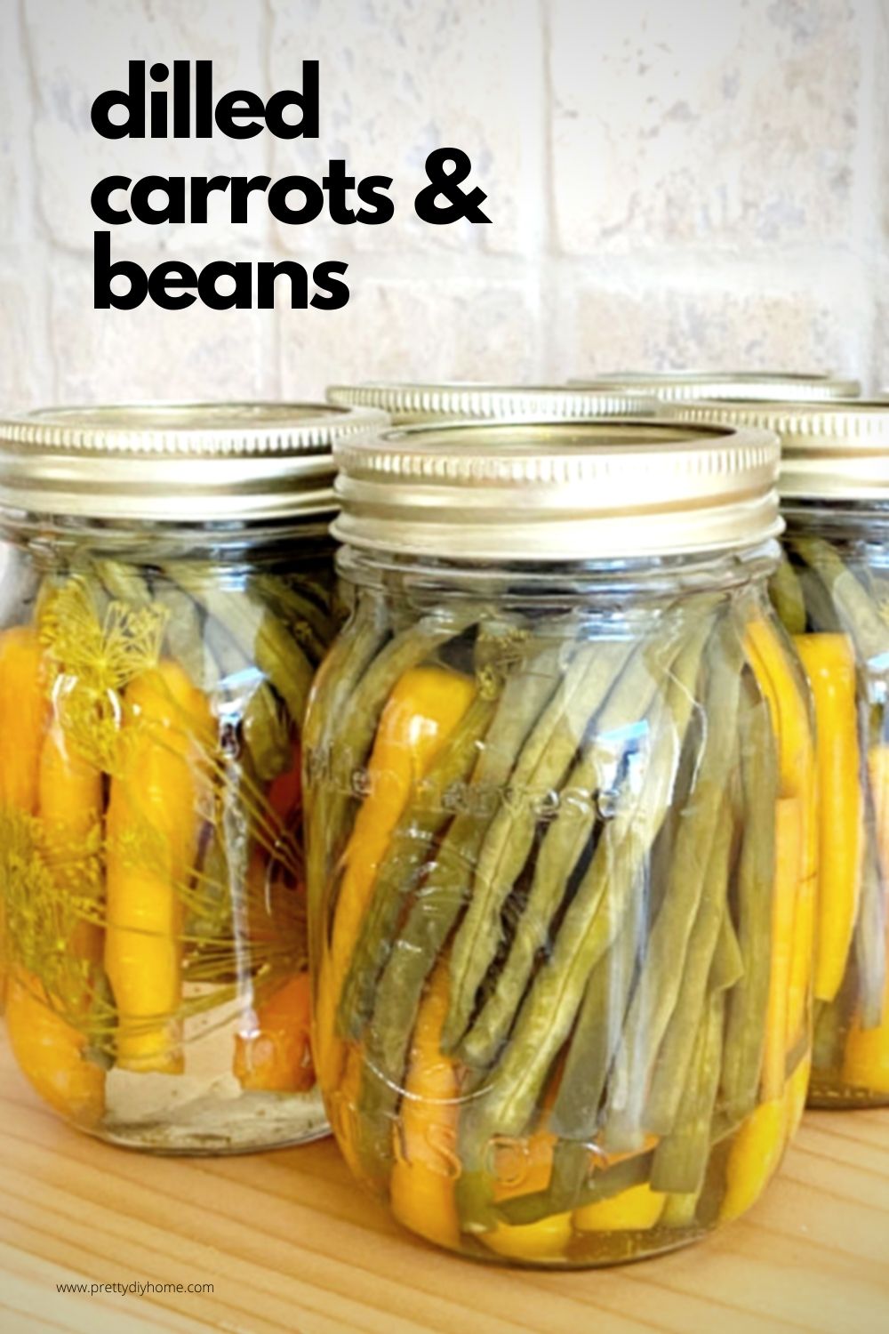 Dilled Pickled Carrots and Beans