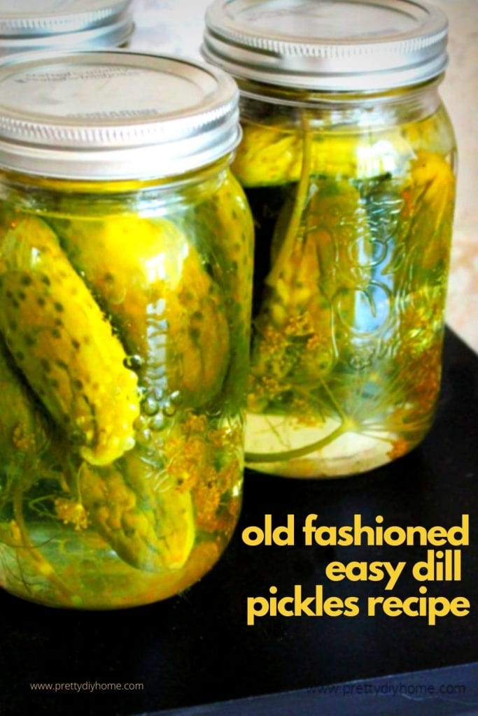 Classic Homemade Dill Pickle Recipe Pretty DIY Home