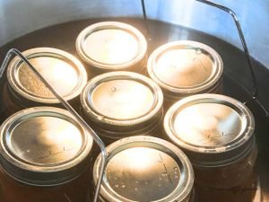 Waterbath canning dill pickle canning recipe. You can see 7 jars of dill pickles in a water bath.