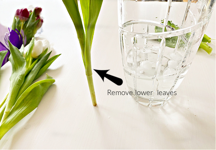 Removing lower leaves from tulips before placing them in a vase with water.