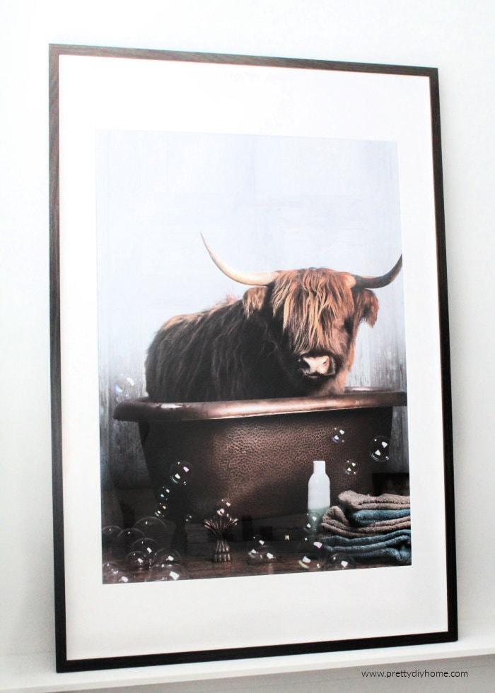 Highland cow artwork for the bathroom. A large poster of a highland cow sitting in the bathtub with lots of bubbles.