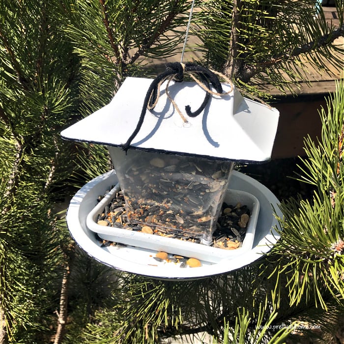 An adorable enamel looking bird feeder in white and black hanging on a pine branch.