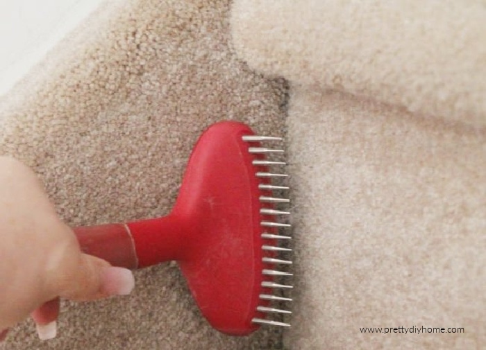 Brush to get dog shop hair out of carpet