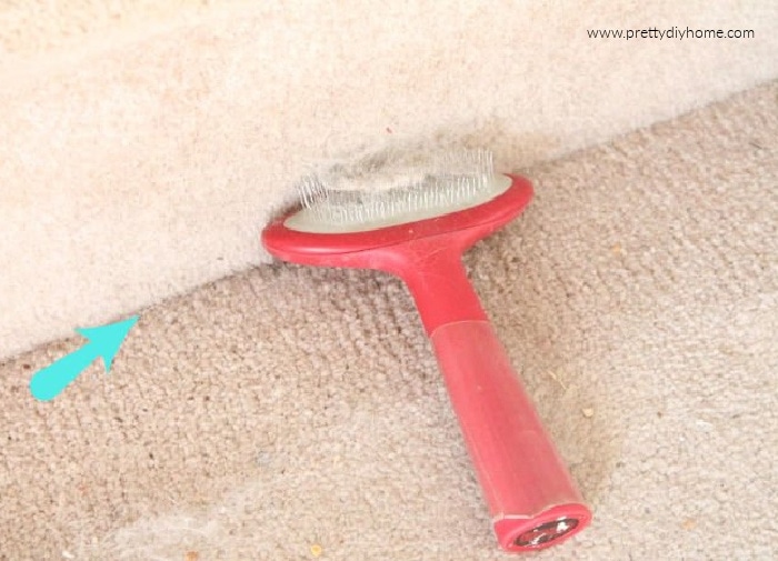 Brush to remove outlet dog hair from carpet