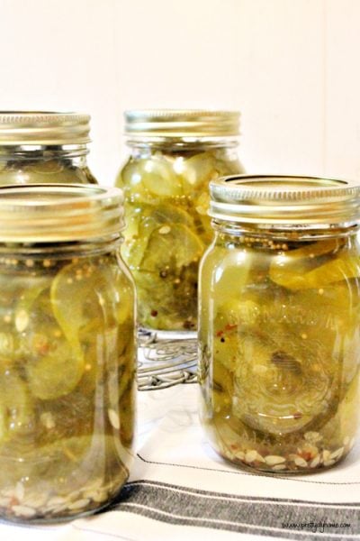 Bread and Butter Pickles Recipe Refrigerator or Canned