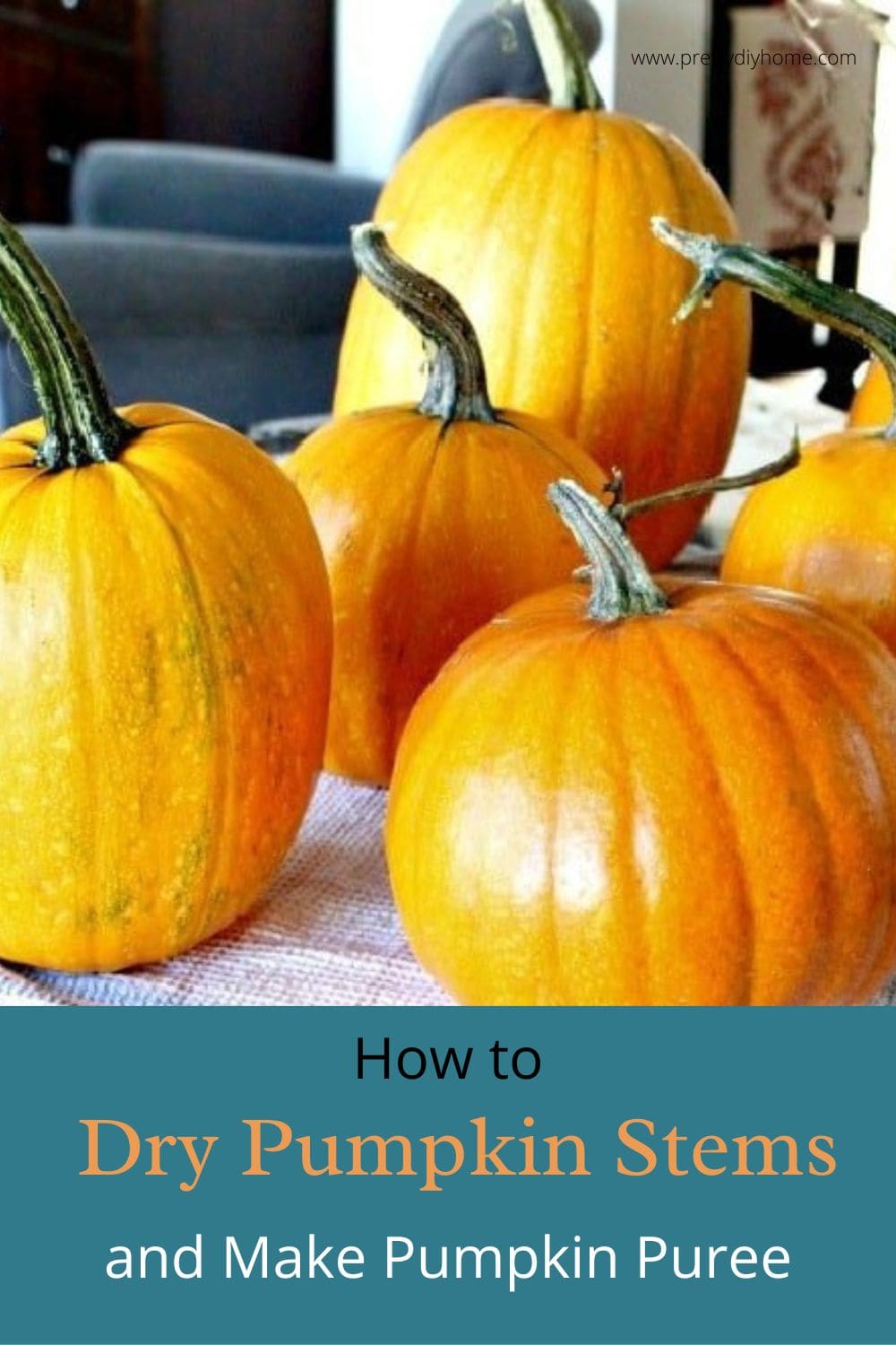 how-to-preserve-pumpkins-and-pumpkin-stems