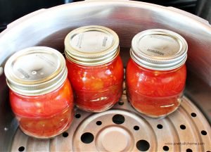 Getting canned tomatoes ready for canning.