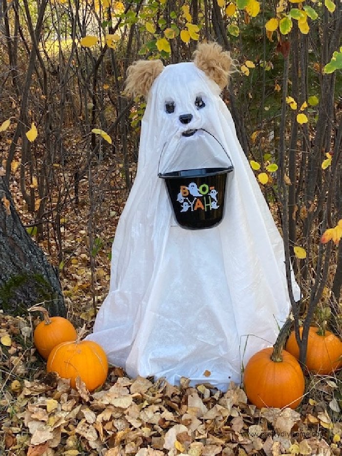 A DIY Halloween decoration sitting outside surrounded by pumpkins. The ghostly Halloween decoration looks like a large cute dog in a ghost costume.