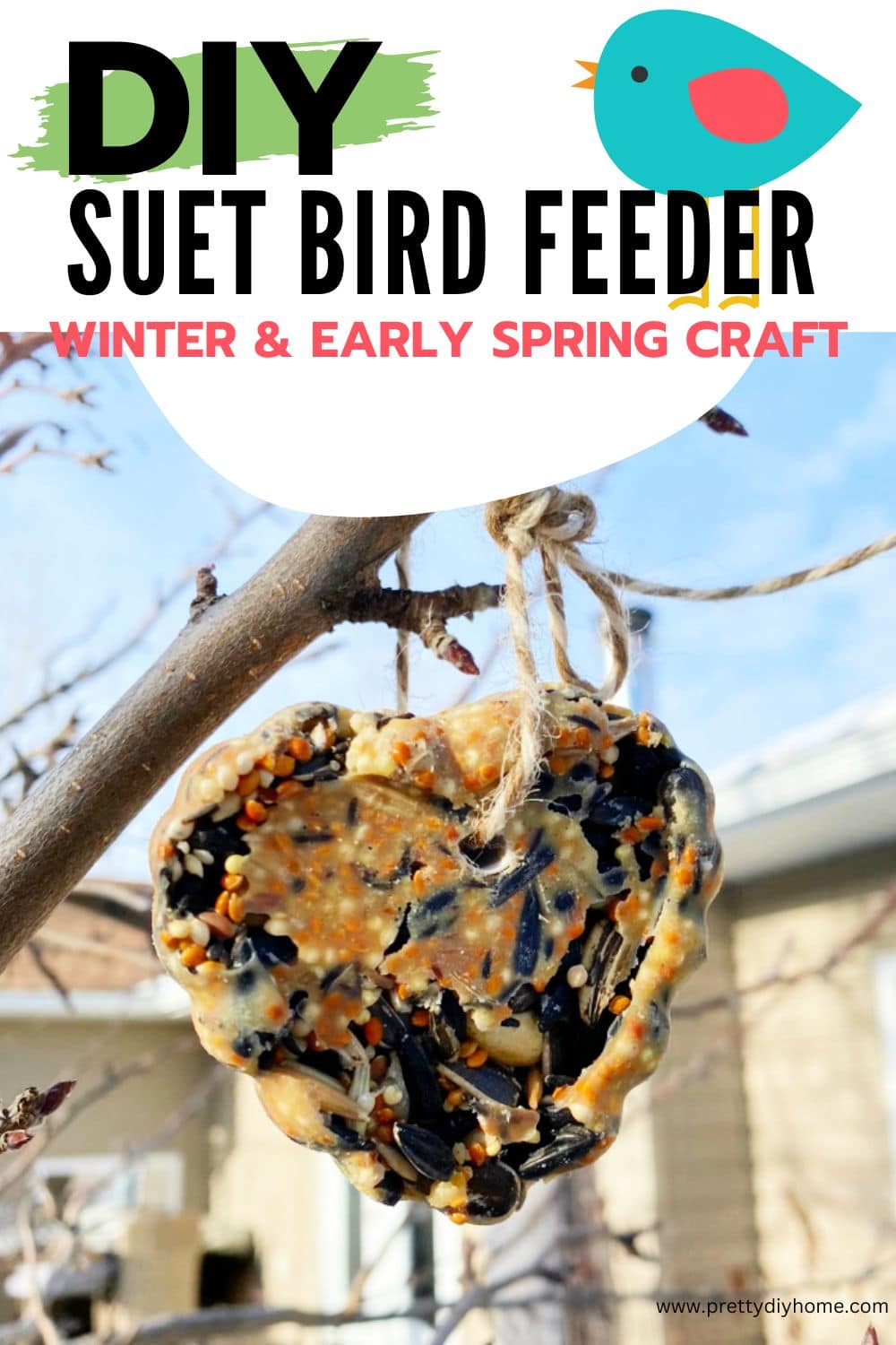 How To Make A Suet Bird Feeder