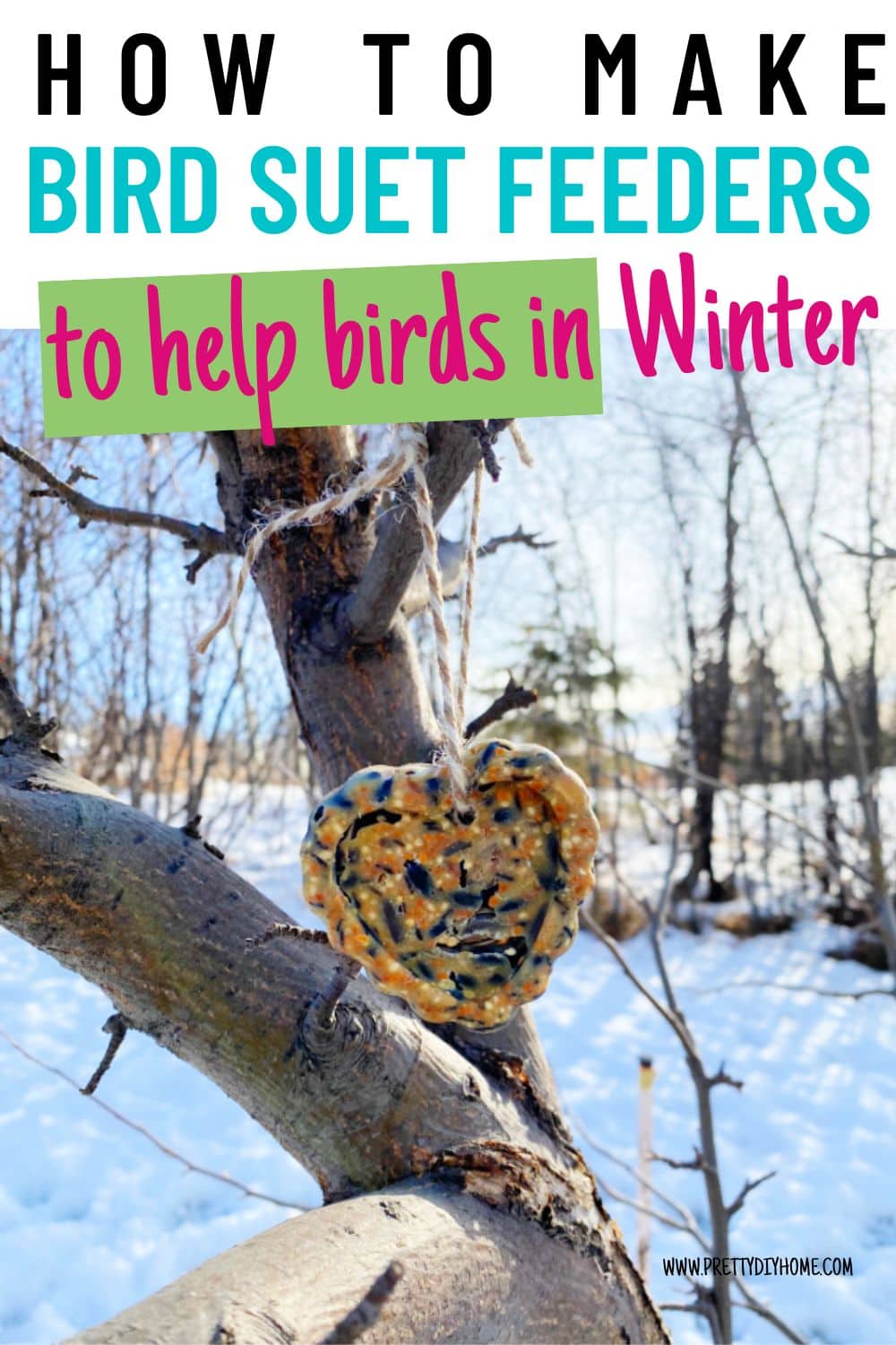How To Make A Suet Bird Feeder