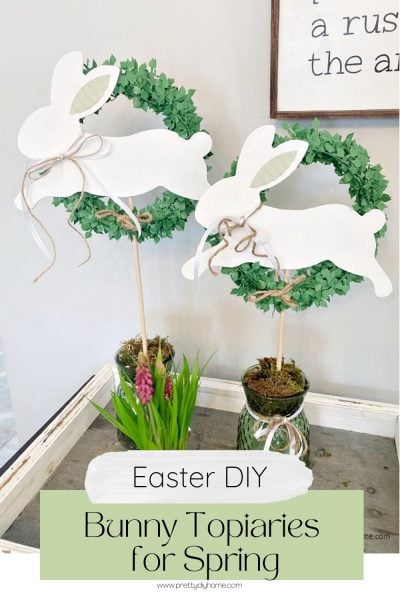Pinterest Hidden Image