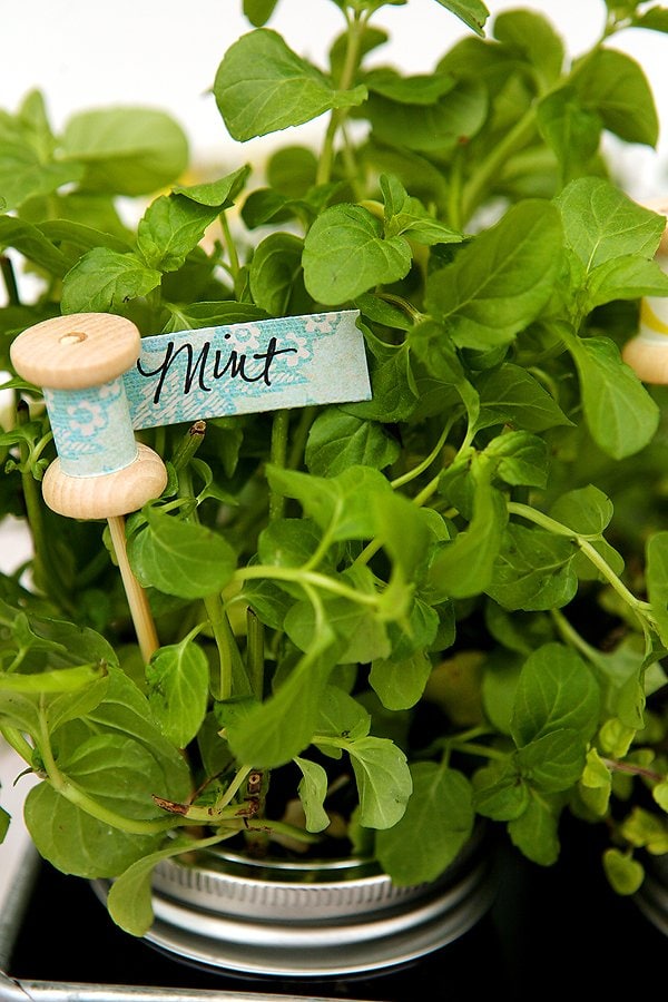 A small plant pot marker for herbs as part of a DIY gift idea.