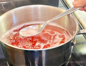 Skimming the froth off of a pot of cooking rhubarb juice for making syrup.