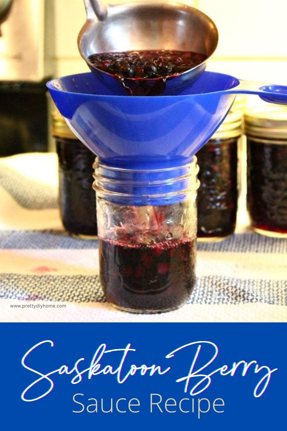 Saskatoon Berry Sauce Pretty DIY Home