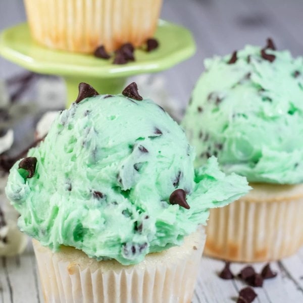 Mint chocolate chip icing scooped on top of plain vanilla cupcakes.  The frosting looks like scoops of ice cream.