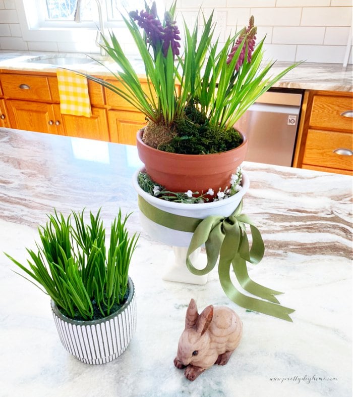 A flowering bulb pot for Spring with a terra cotta pot and flowering Spring bulbs. Its sitting a white DIY container tied with a green ribbon.