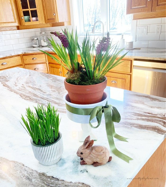 Spring flowers in a pot, held by a bulb pot stand, sitting on a kitchen counter for Spring decor.