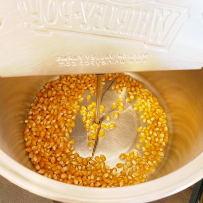 the inside of a stove top popcorn maker showing the popcorn kernels and the oil, before it starts popping.