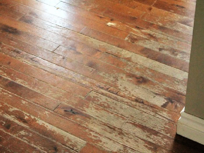 Heavily worn hardwood floor with peeling finish before refinishing.